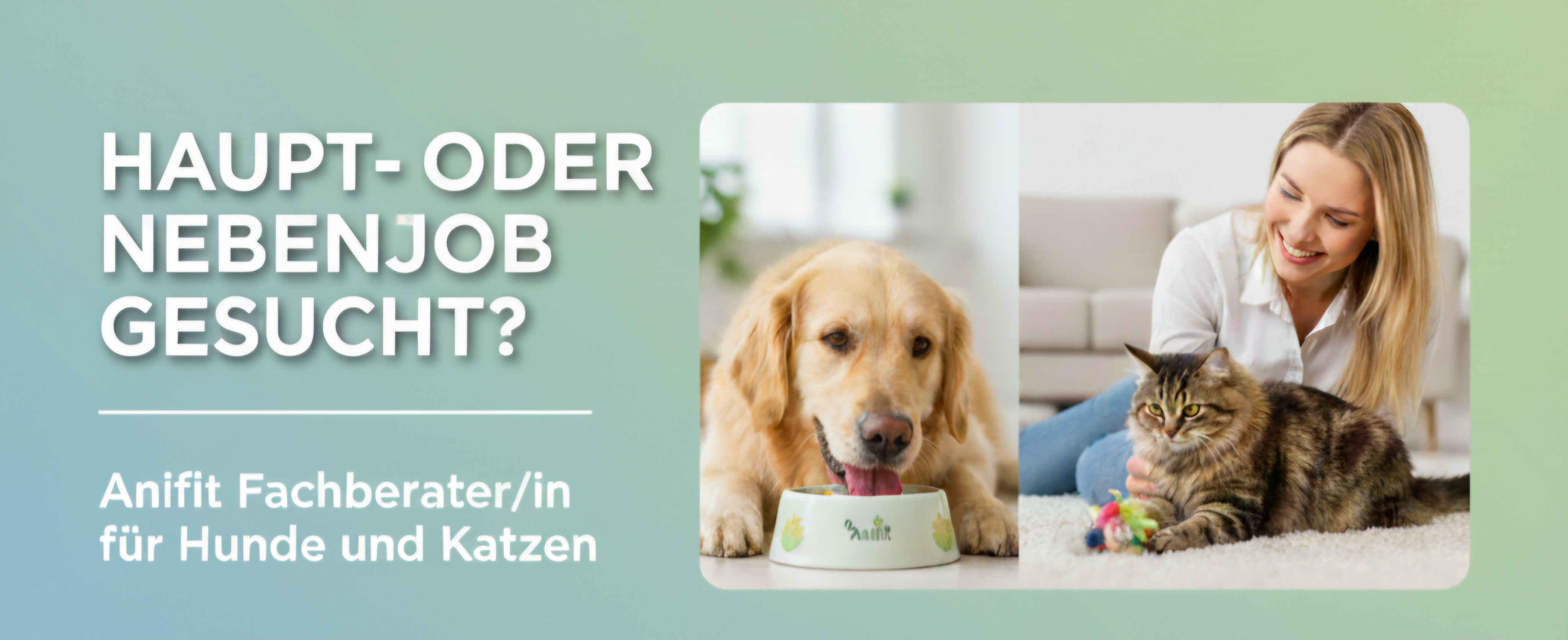 Job Ernährungsberater